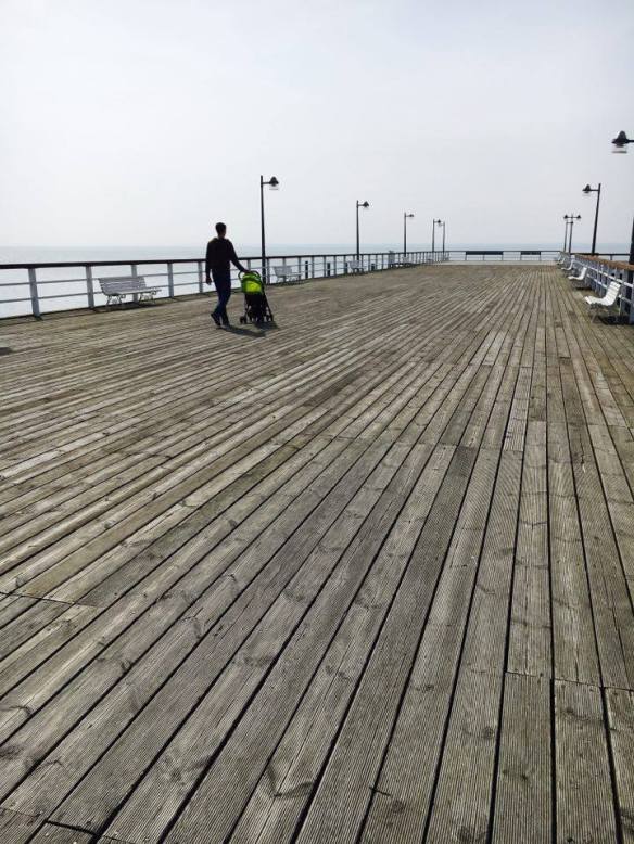 12980388_10153985663551236_1131469482_n