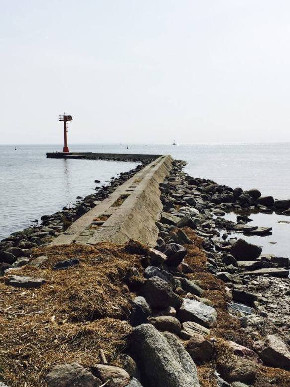 12980433_10153985663666236_1236072398_n