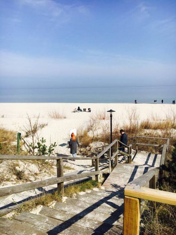 12988093_10153985674281236_37141279_n