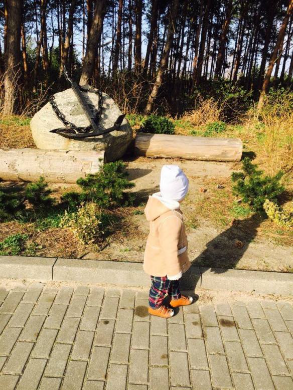 12992110_10153985674141236_1229341928_n