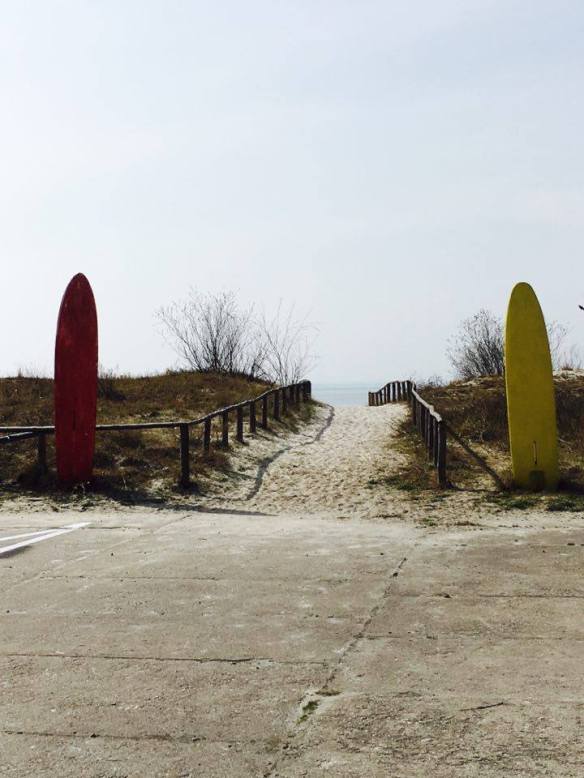 12992294_10153985663631236_711076773_n