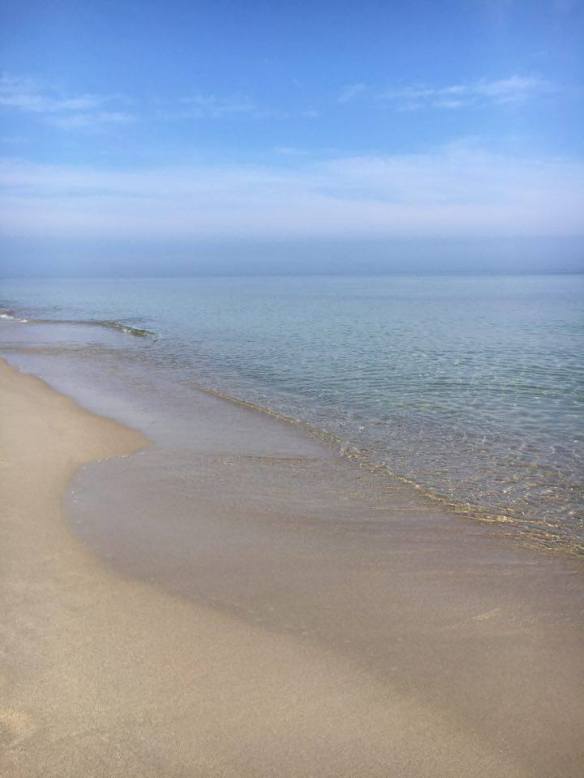 12992868_10153985674411236_846520454_n