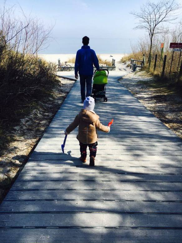 13020185_10153985674336236_721123058_n