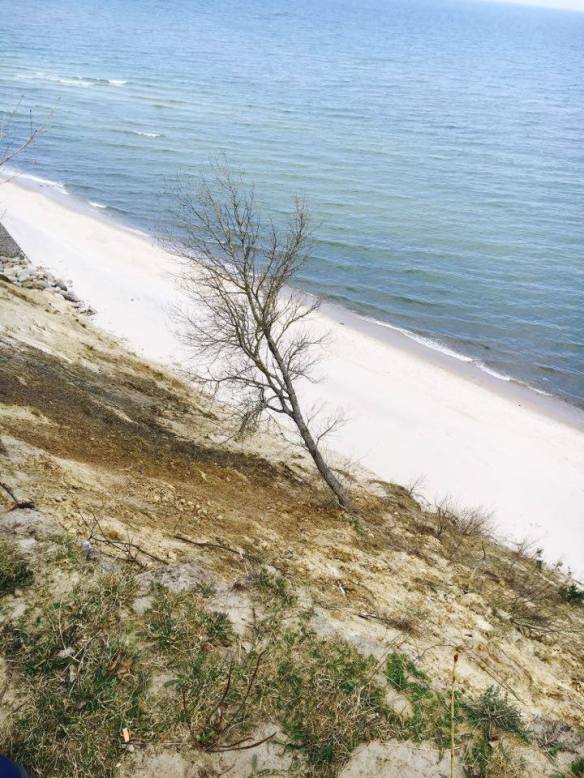 13023472_10153985667001236_220168847_n