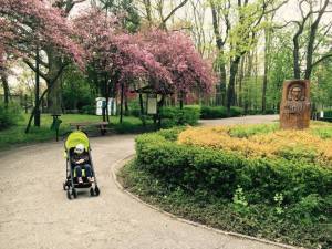 13115764_10154031733141236_205584254_n