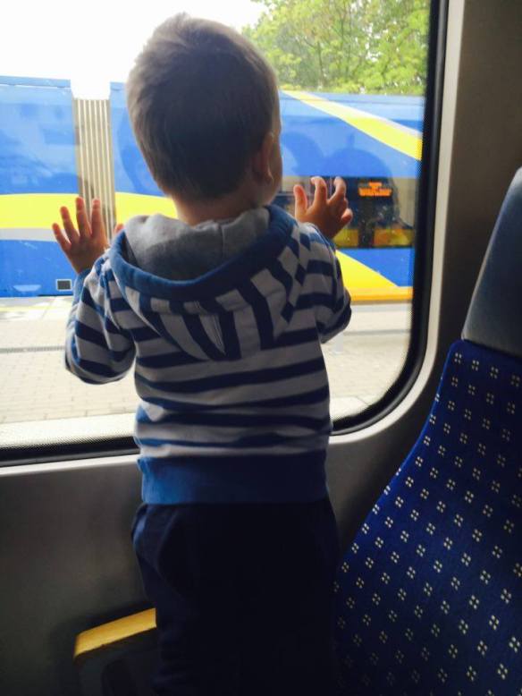 13292898_10154096259661236_833939344_n