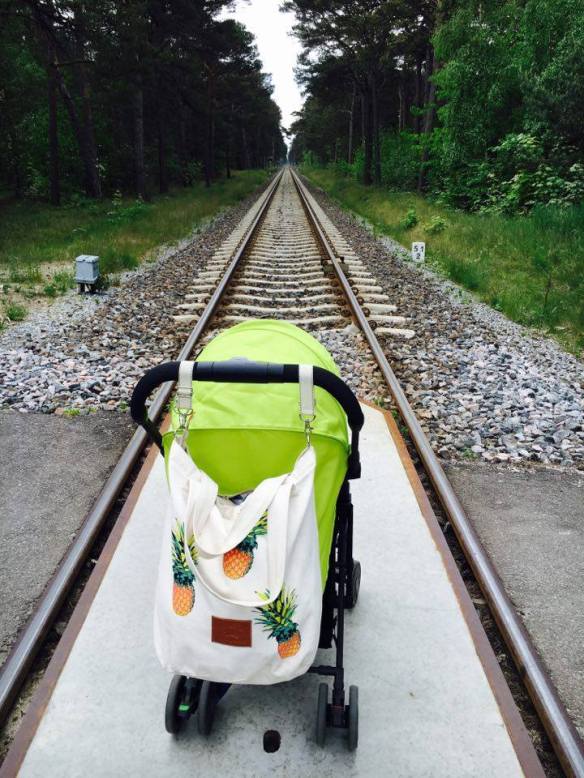 13318951_10154096262641236_82557554_n