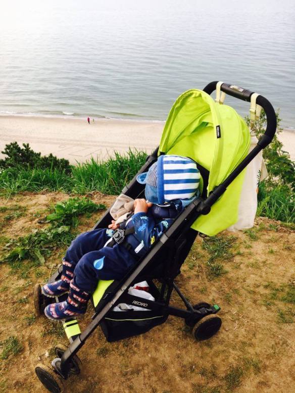 13329643_10154096263796236_910825969_n