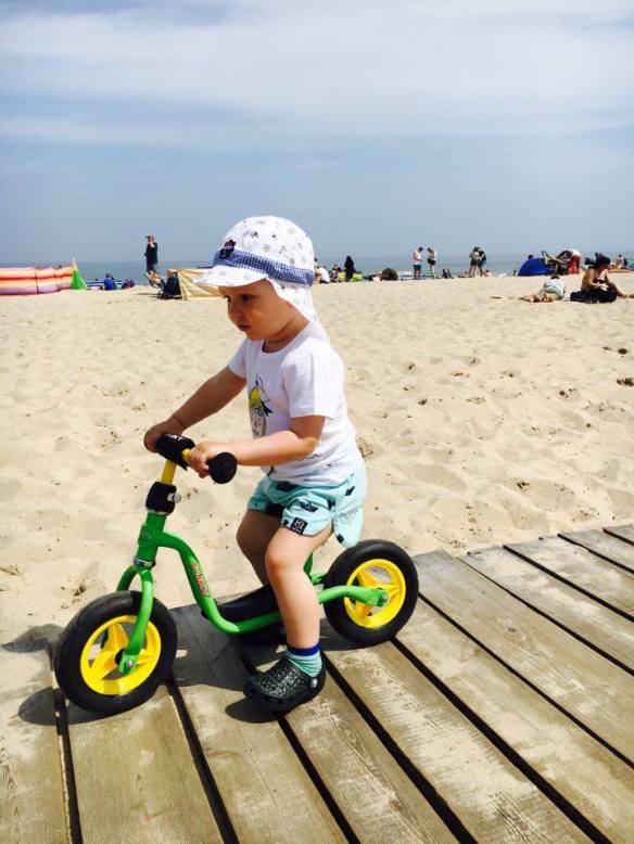 13336435_10154096275161236_525772142_n