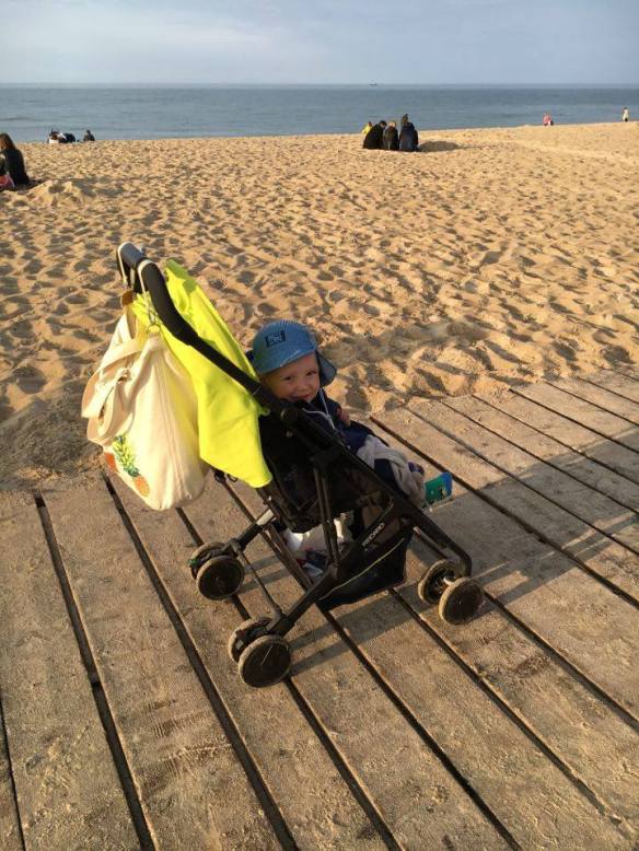 13342319_10154096263821236_1982752975_n