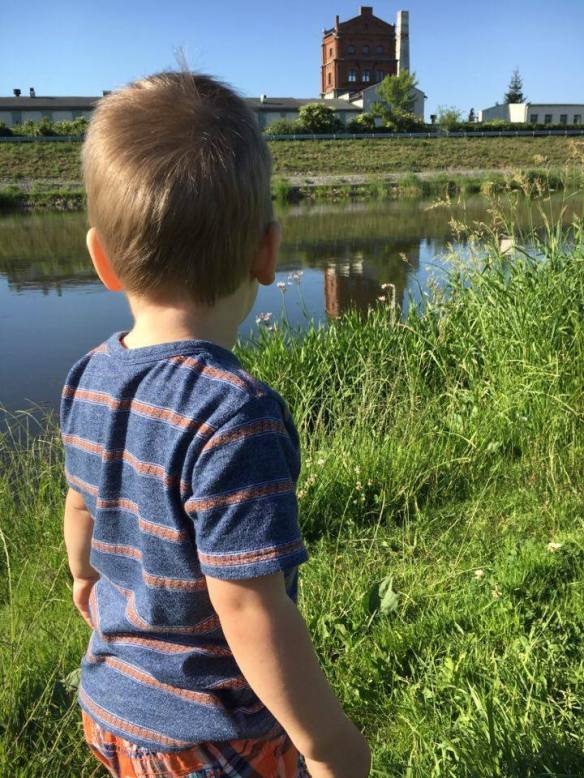 13407489_10154119361426236_1260096125_n