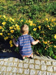 13434080_10154119365626236_792594348_n