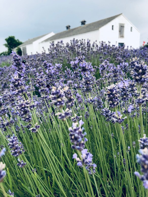 086E8173-1B9A-4EBE-B94D-17D2EEDC5293