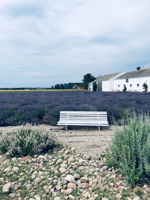 11FEB695-5DA0-4338-9107-47AC5C708031