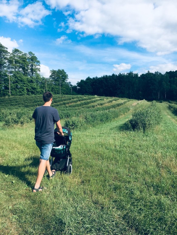 7A319671-B470-44BA-8164-F72DDF8D2F9D