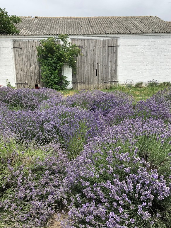 8F6093DC-2A52-40B4-B10D-E64AB39ACB10