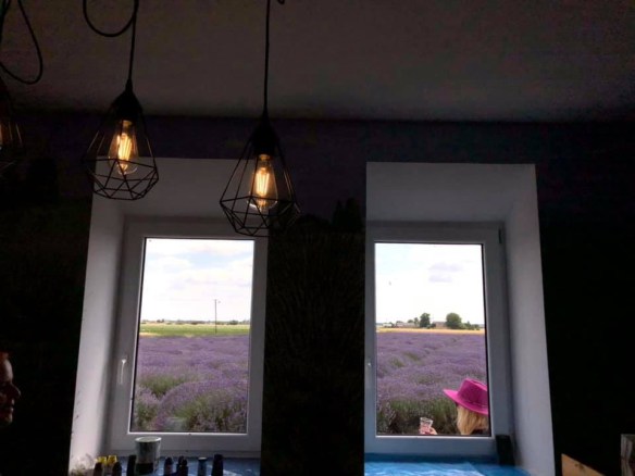 8FEB7ECA-9F47-4EEB-9B63-B39E2EA95BD4