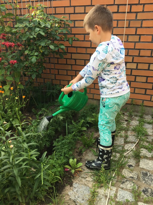 A71BE226-80DA-46D4-9699-AE4011205FED