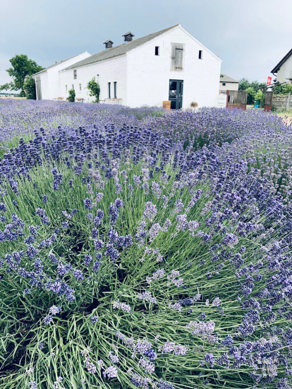 C0A25535-6126-4794-8371-1C5F3A163B64