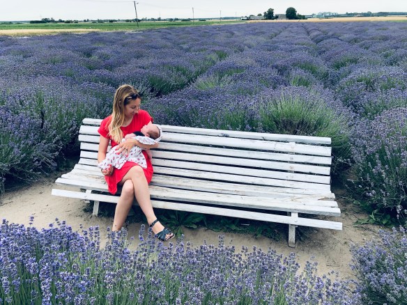 C7BFC896-949D-43B0-A11F-E160FDC92026