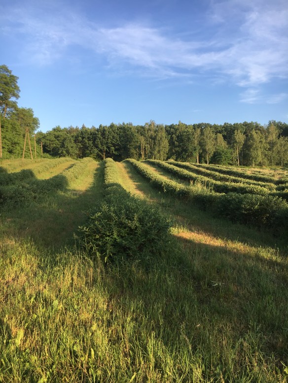 E09E5B06-33DF-4658-A1D0-4CE9F74DD8BC