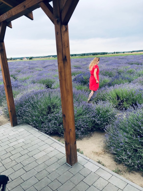 E36335CB-B260-4543-8987-0DF39A86760A