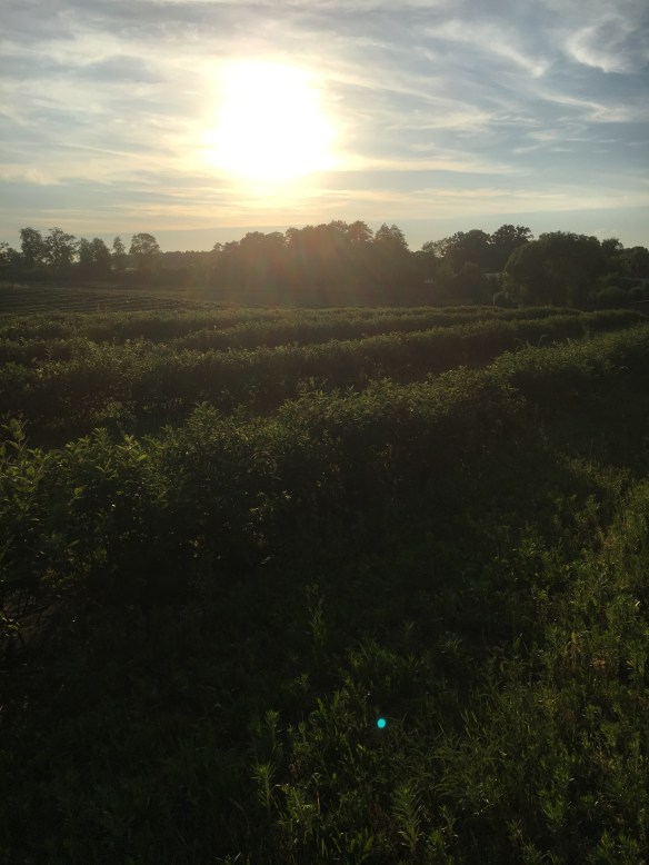 EC4418DB-BEC8-45E1-A4E8-0E9CAF5ED63E