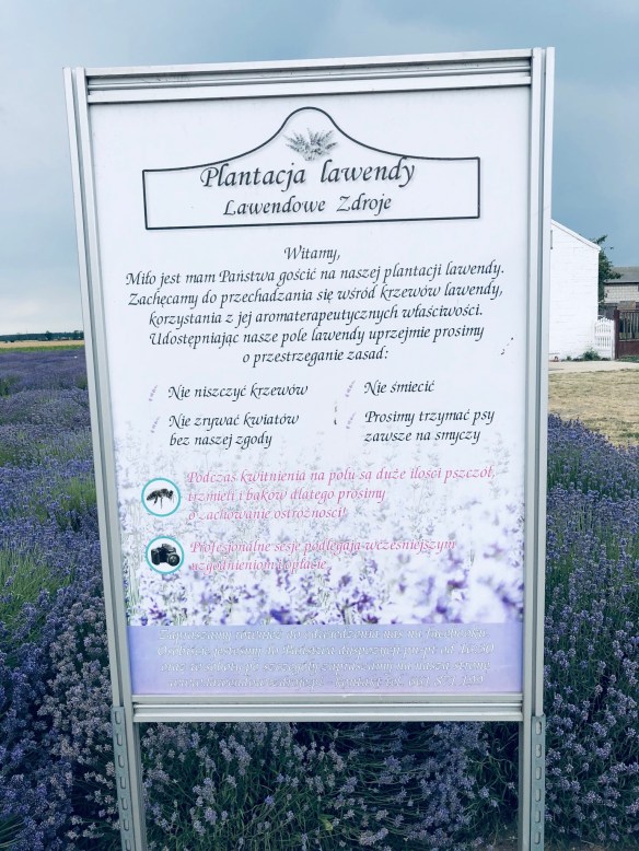 F7B41CB4-D37B-47FB-AD9A-966D416112CE