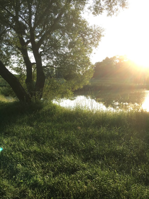 F8239D28-A07F-4563-B516-CCCA5CC887AF