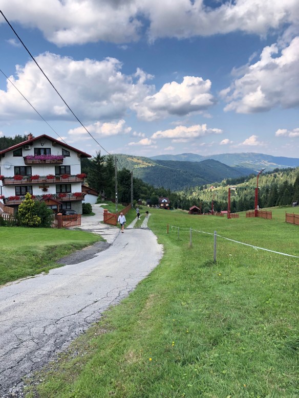 31374A07-5876-4F06-89C0-BF78D3318D20