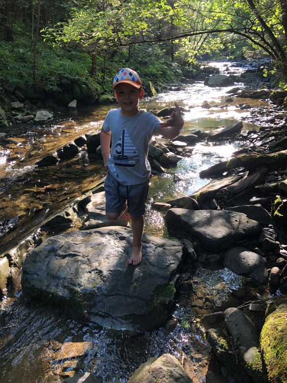 7011584E-F462-40C1-9B24-0370213A9B67