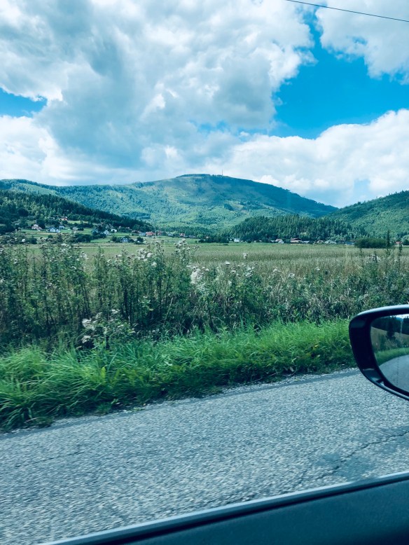 861A8653-553A-448F-A069-FEB9BF006CEC