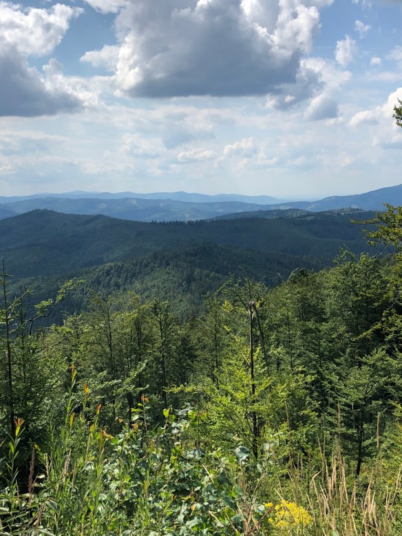 B98FDB3C-0359-4D8F-BE78-19452D233CF1