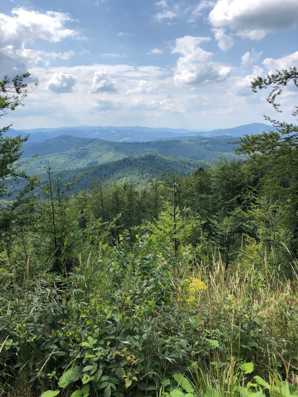 DD2FA71C-DB52-4E53-9823-BB3122146992