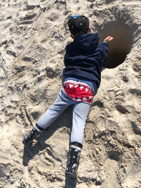 1E9F5CC8-9F4B-41B6-9F94-9519EB548CD1