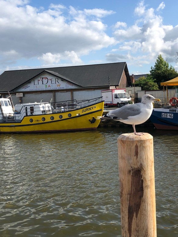 8EAF7ECB-305A-4018-A5E1-CCFDA8886A17