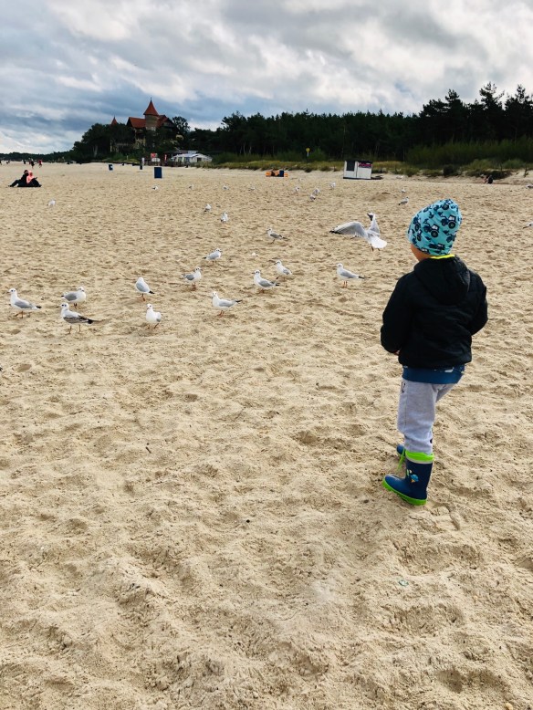 EC6BAE8D-F177-49BC-AA9A-C0318732269A